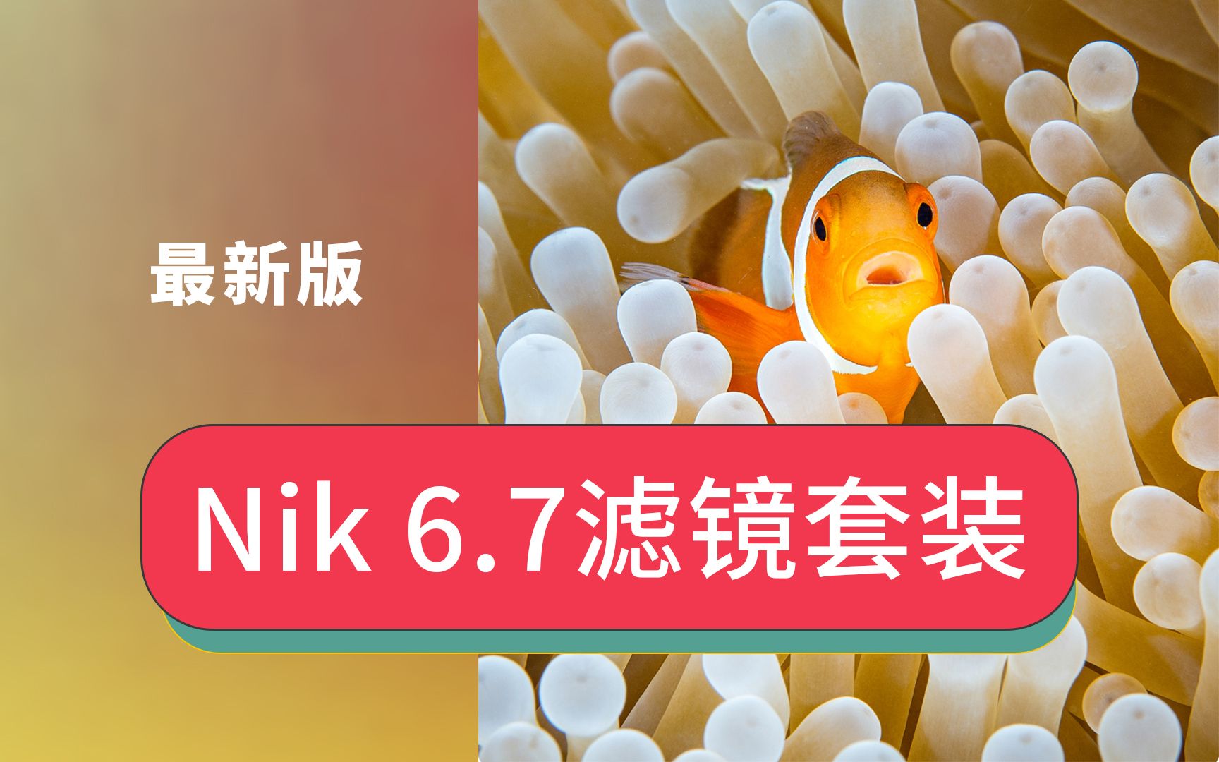 Nik插件PS2024最新版本Nik Collection 6.7插件Nik滤镜安装后PS没有怎么办哔哩哔哩bilibili