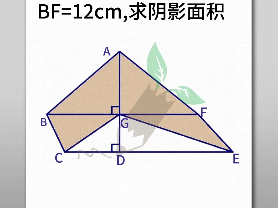 小學陰影面積之等積模型