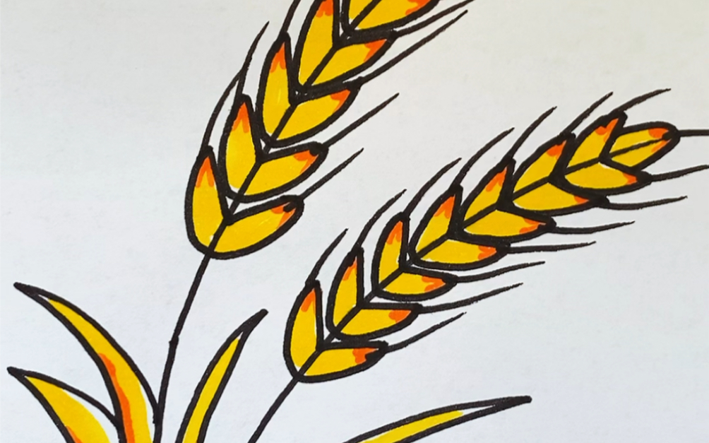 小麦创意画简笔画图片