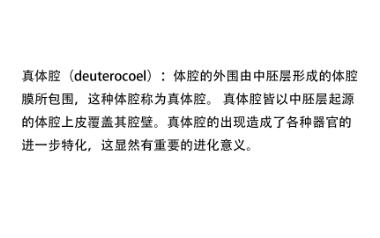 【普通生物学】名词解释 假体腔/真体腔/羊膜动物/脊索动物/辐射对称哔哩哔哩bilibili