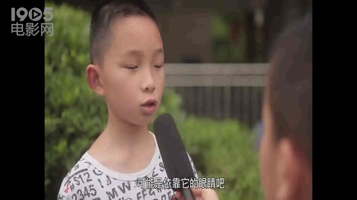 蚁蚕是怎么觅食的哔哩哔哩bilibili