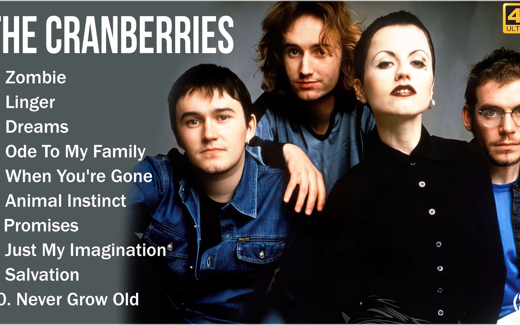 小红莓乐队 金曲精选合集 The Cranberries Greatest Hits哔哩哔哩bilibili