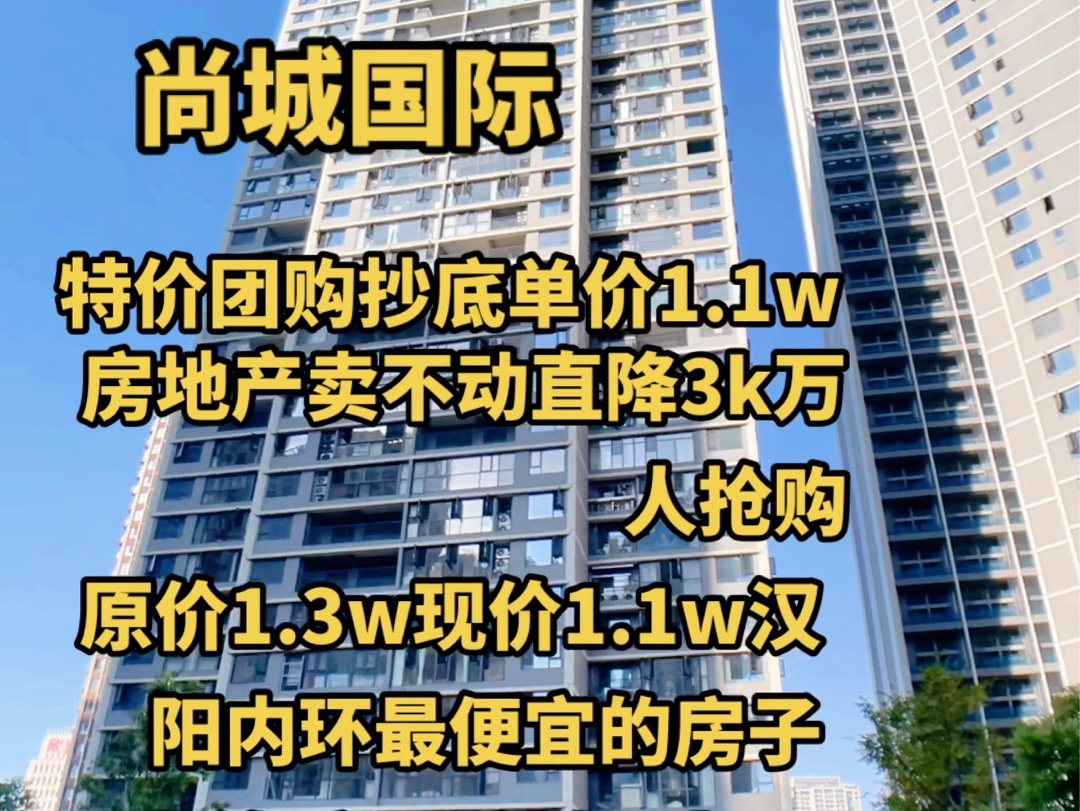 汉阳内环尚城国际价格下调房子就好卖了?从供不应求到一抢而空?哔哩哔哩bilibili