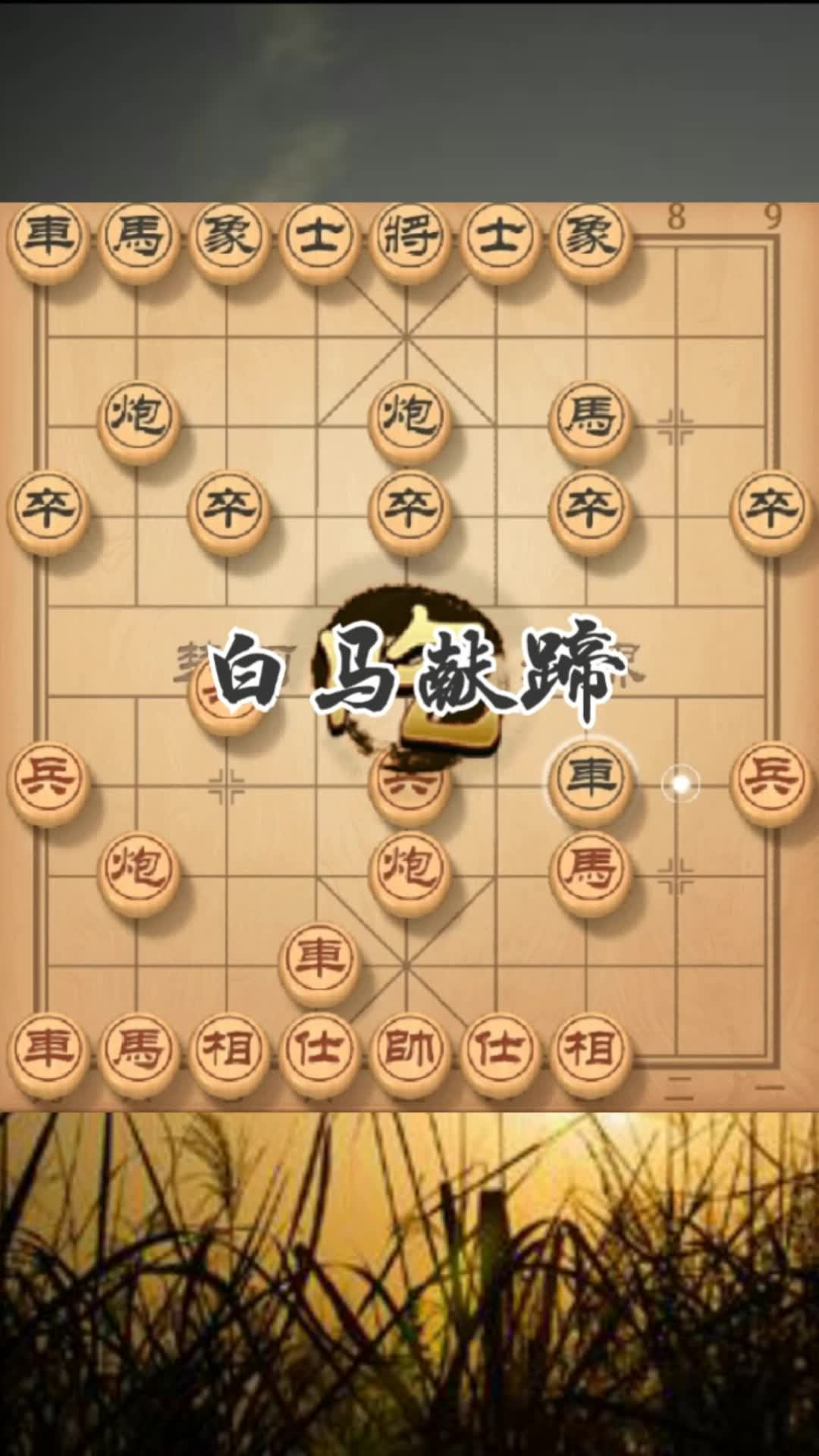 活动作品白马现蹄