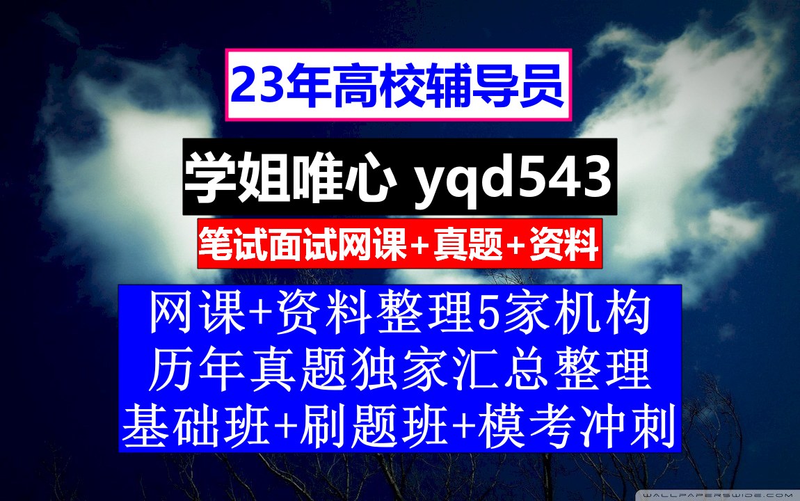 23高校辅导员招聘,高校辅导员资格证书,高校辅导员工作计划哔哩哔哩bilibili