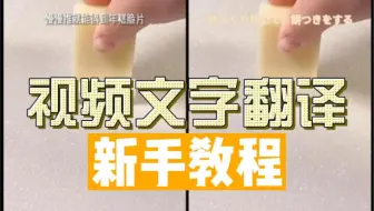 视频文字翻译新手教程，小技巧教你如何全自动完成视频翻译。