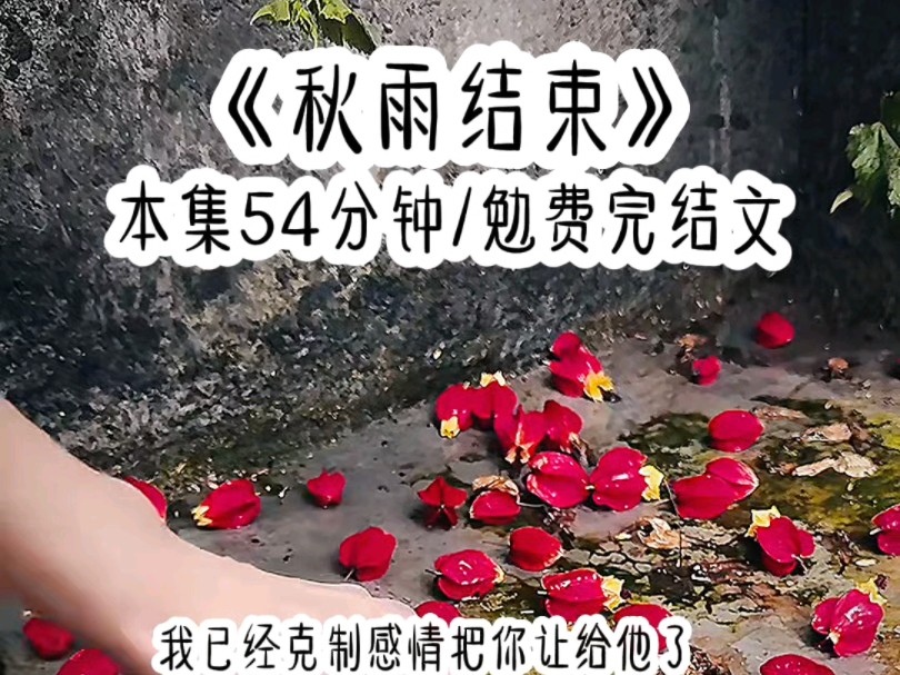 [图]《秋雨结束》 本集54分钟/勉费完结文