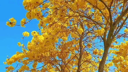 [图]谷雨雨生百谷，花开百福春山谷雨前，并手摘芳烟谷雨春光晓，山川黛色青沛雨富泽四月春，甘霖润地万物新谷雨过后，再无寒人间芳菲，皆向暖