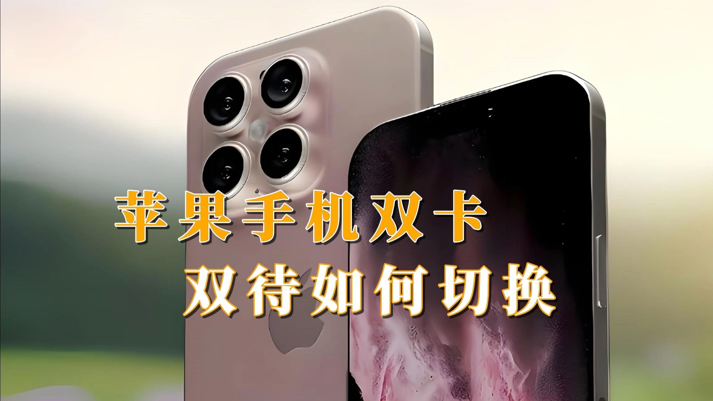 苹果手机双卡双待如何切换