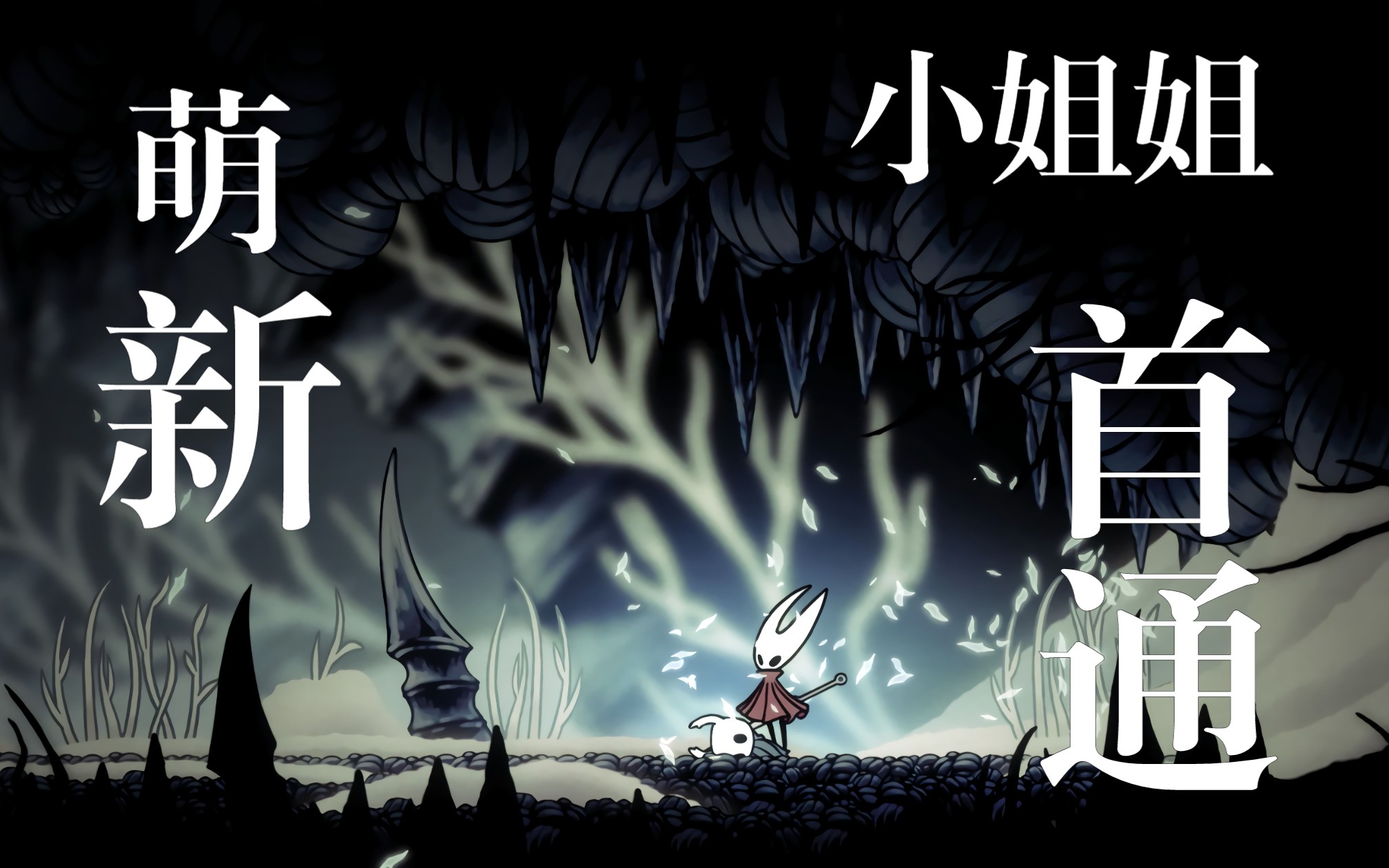 【空洞骑士】死缠烂打小姐姐
