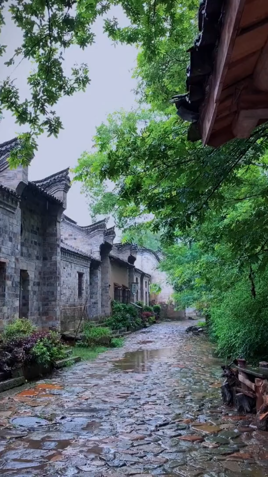 2"古巷悠悠岁月深,老街青石印旧痕.檐下伫立听风雨,不见当年送伞人.