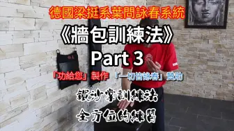 Download Video: 铁沙掌训练法！德国梁挺系叶问咏春「墙包训练法P3」系统教学