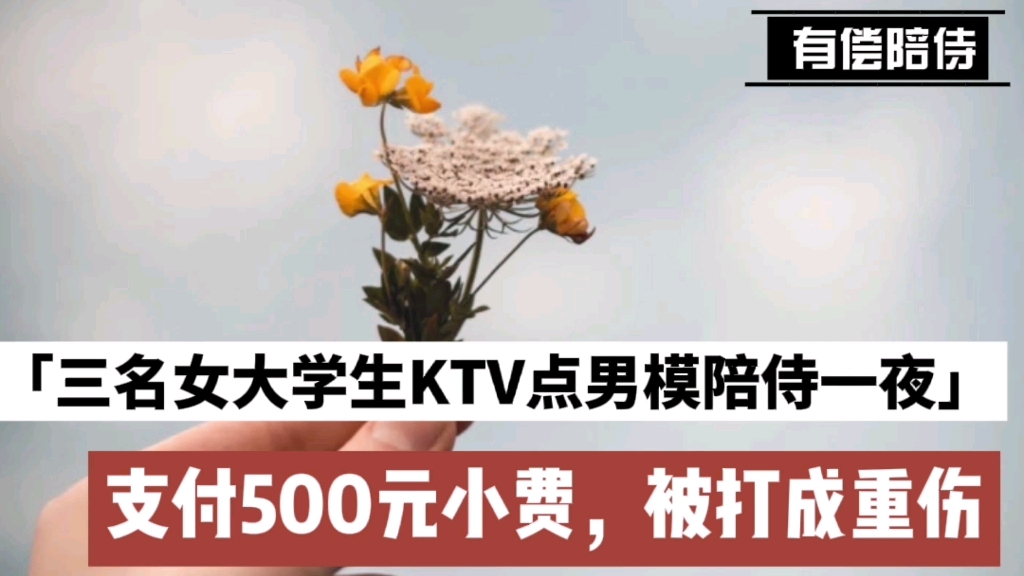 三名女大學生ktv點男模陪侍一夜,支付500元小費,被打成重傷!