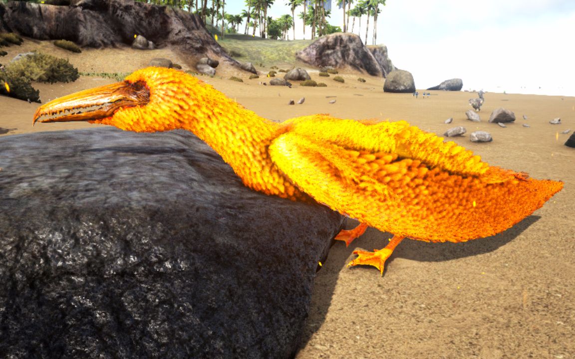 【火锅】方舟生存进化 来世篇08 金灿灿伪齿鸟