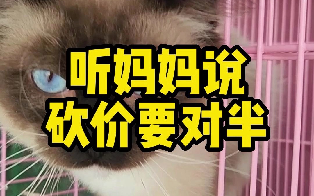 怎么感觉我还是亏了呢?