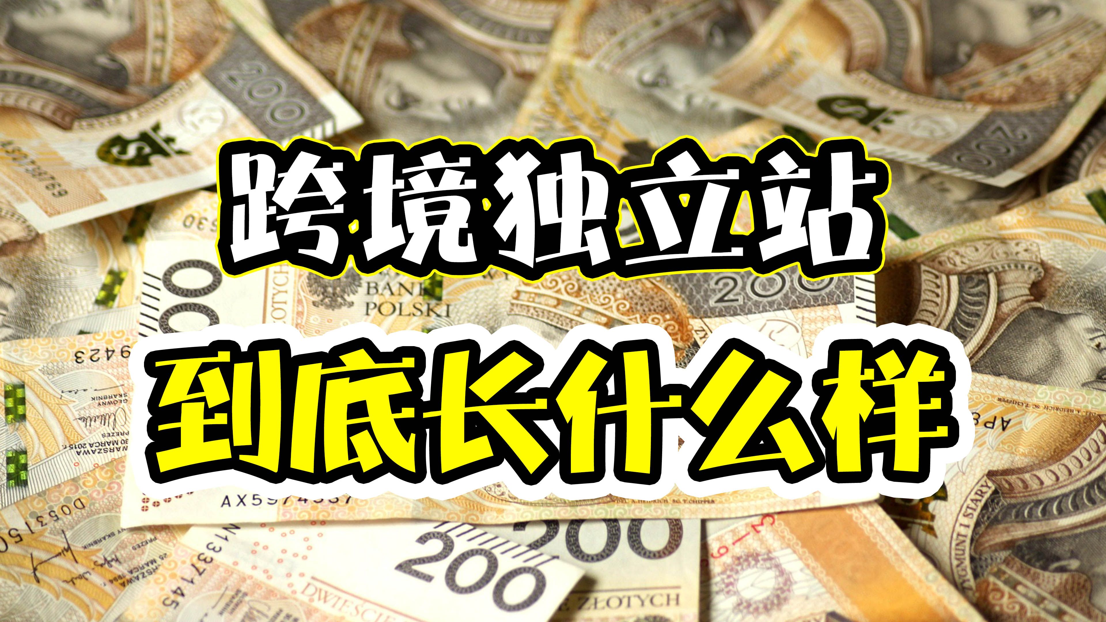 跨境电商独立站,到底长什么样(下集)?地球村建站课程,第四集.哔哩哔哩bilibili