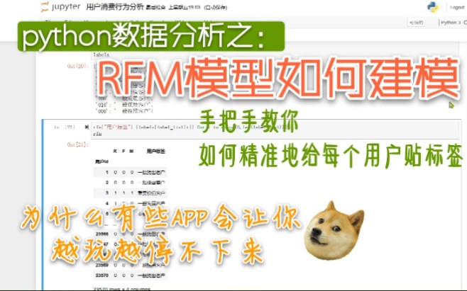 python数据分析|RFM模型建模|手把手教你给每一个用户贴标签|用户画像分析之一哔哩哔哩bilibili