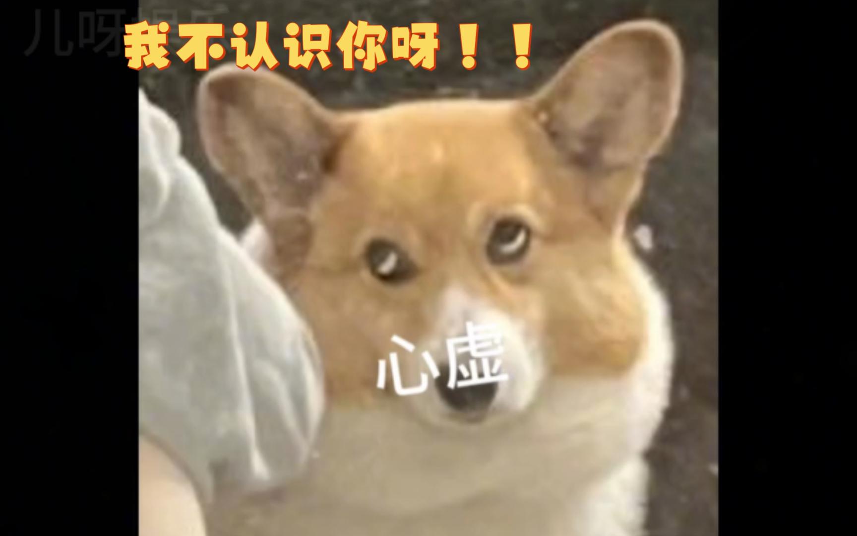 完了 我妈来了哔哩哔哩bilibili