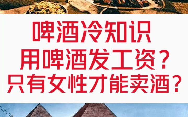 4000年前的时尚单品,世界上历史最久的酒精饮料是啥?哔哩哔哩bilibili