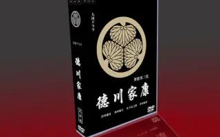 Ieyasu 哔哩哔哩 Bilibili
