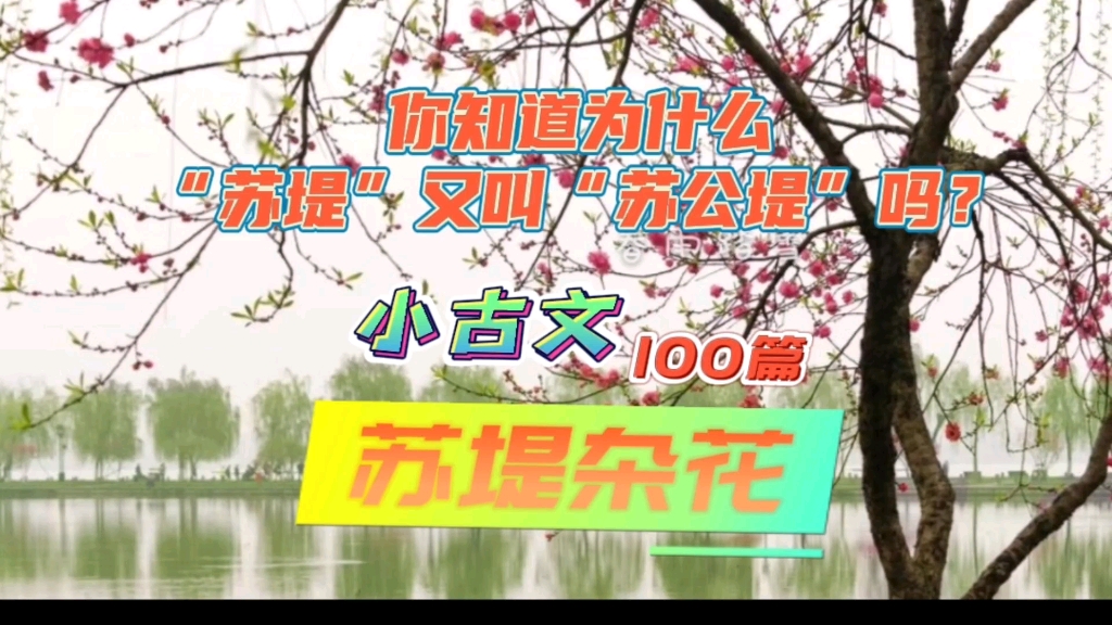 小古文100篇~《苏堤杂花》(原文+译文+诵读)为什么“苏堤”又叫“苏公堤”?哔哩哔哩bilibili