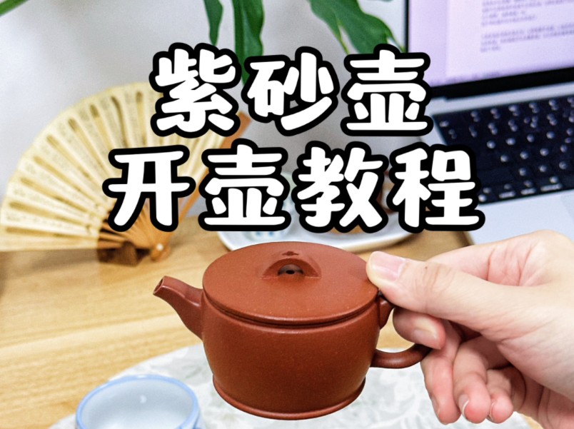 如何开壶、养壶,泡什么茶?2分钟速成紫砂壶使用指南 !哔哩哔哩bilibili