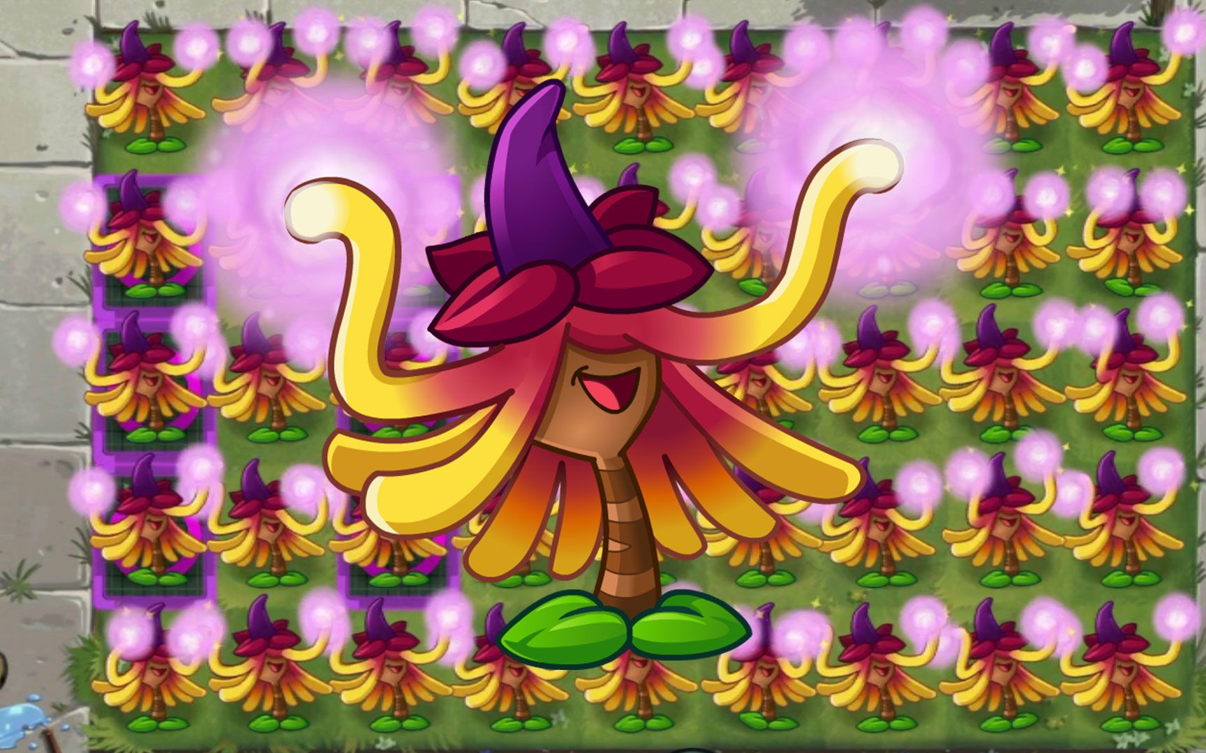 活动作品植物大战僵尸天天喊内鬼但你真的了解金缕梅女巫吗