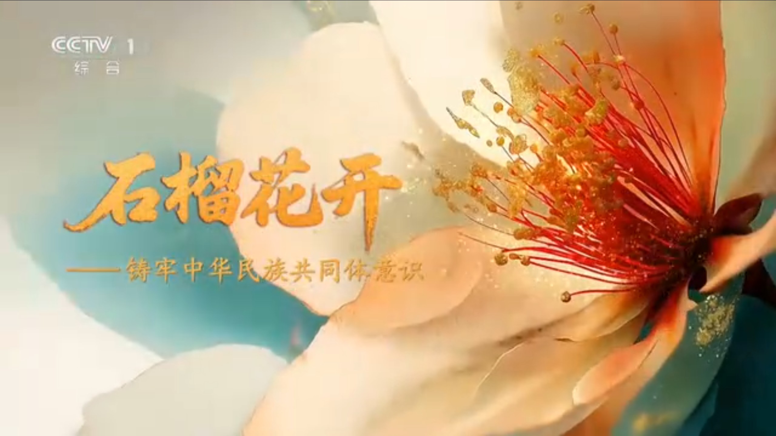 石榴花开——铸牢中华民族共同体意识：第三集 文化相通