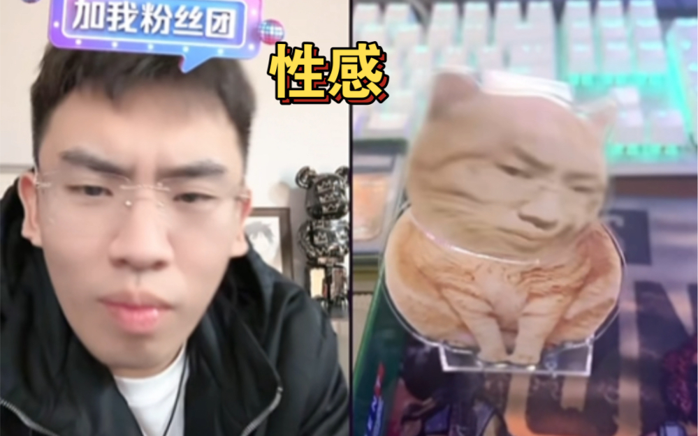 [图]会摇头的听泉猫一眼大开门