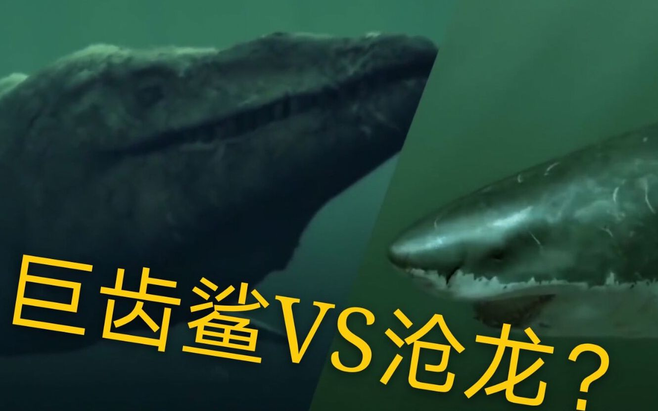 当巨齿鲨遇上沧龙,谁才能成为海中霸主