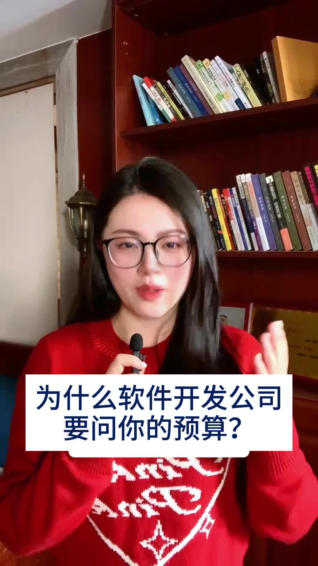 为什么软件公司要问顾客的预算?哔哩哔哩bilibili