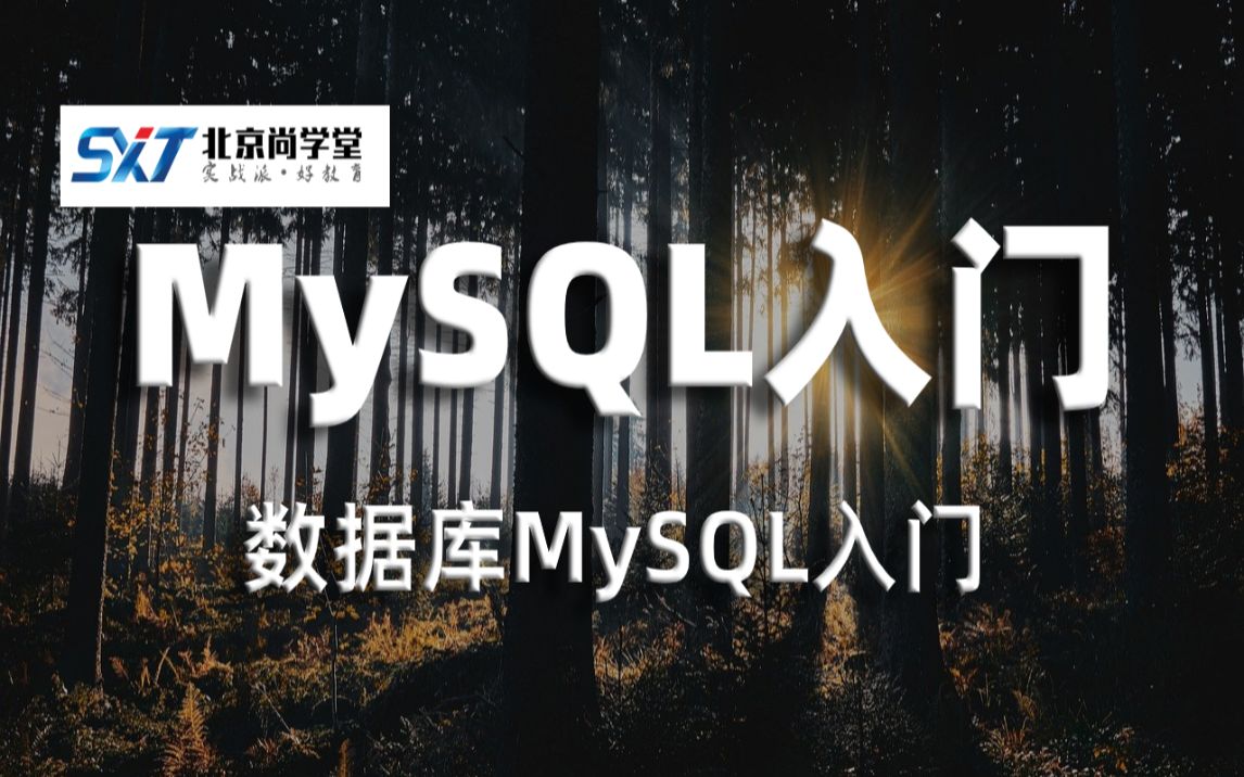 MySQL数据库新手入门最佳教程1天就可以学会MySQL数据库MySQL数据库基础知识MySQL新手入门教程详解数据库MySQL入门MySQL基本操作哔...