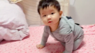 人类幼崽看到大奶的飞奔哔哩哔哩bilibili