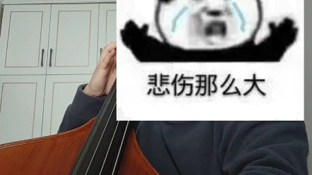 [图]万哈尔低音提琴协奏曲