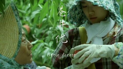 苍井优 百万元与苦虫女混剪 静候夏至 哔哩哔哩