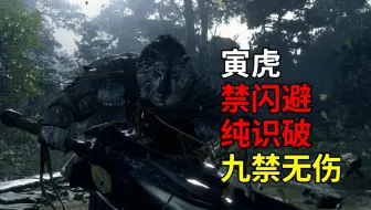 【禁闪九禁】朴实无华的禁闪无伤寅虎老师