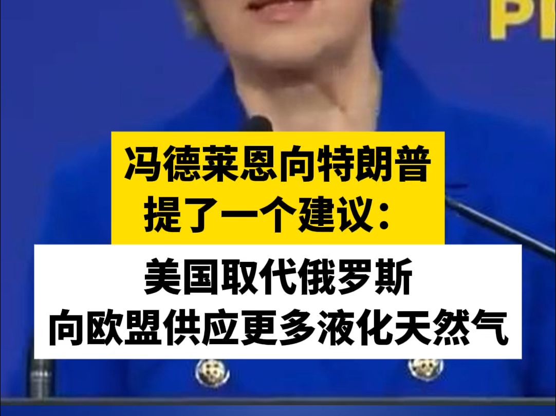 冯德莱恩向特朗普提了一个建议:美国取代俄罗斯向欧盟供应更多液化天然气哔哩哔哩bilibili