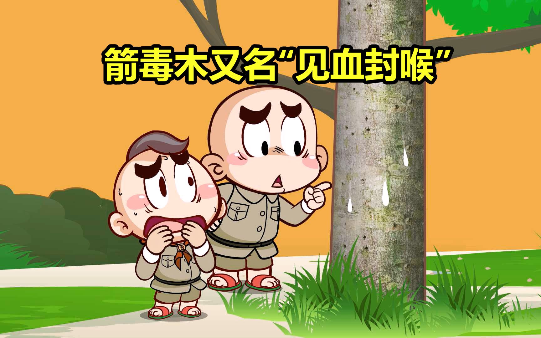 【唐唐】涨知识!箭毒木篇