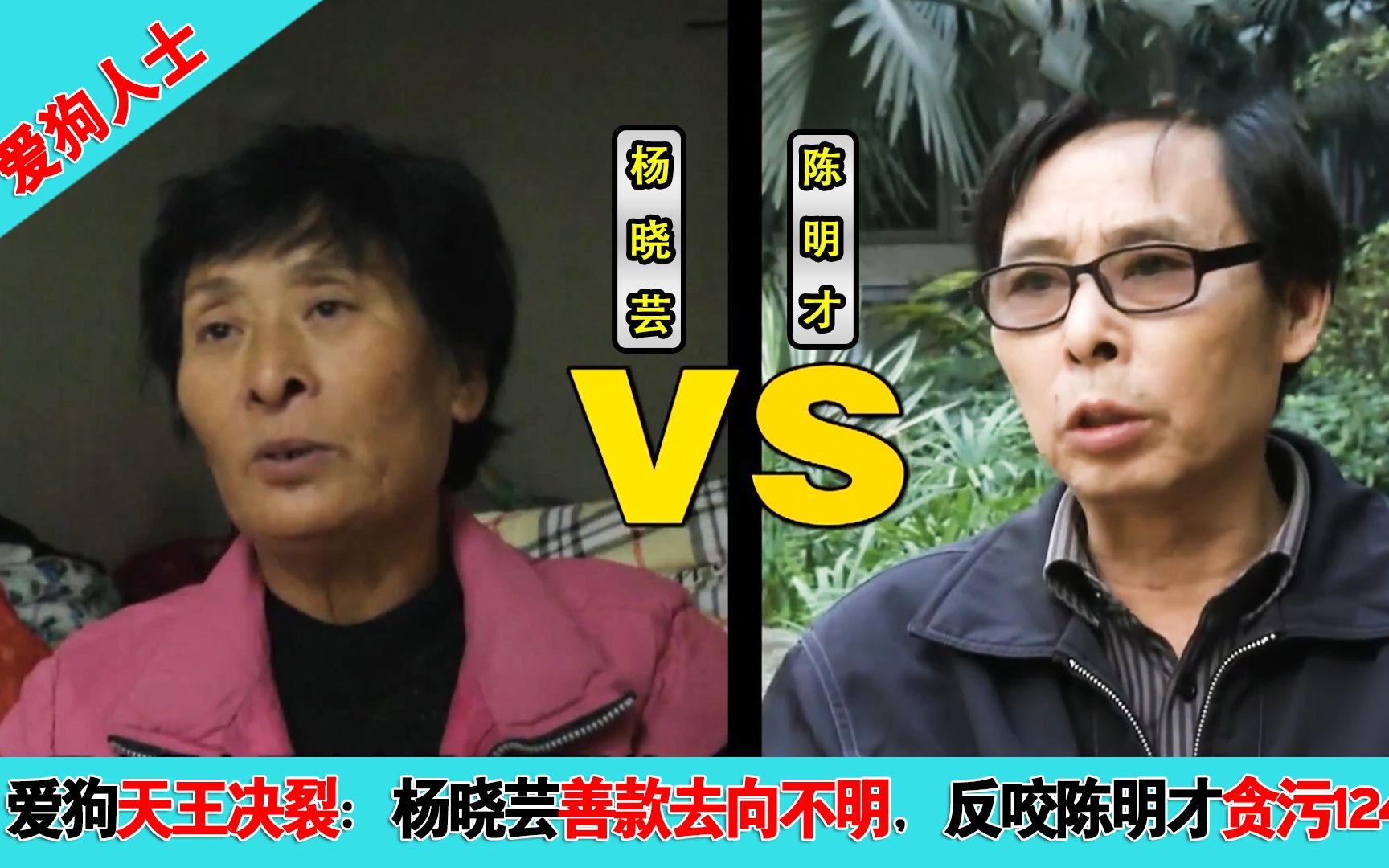 爱狗人士内讧杨晓芸善款去向不明反咬陈明才贪污124万