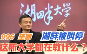 下载视频: 湖畔大学为何被叫停？看毕业的老板都做了些什么，就知道了！