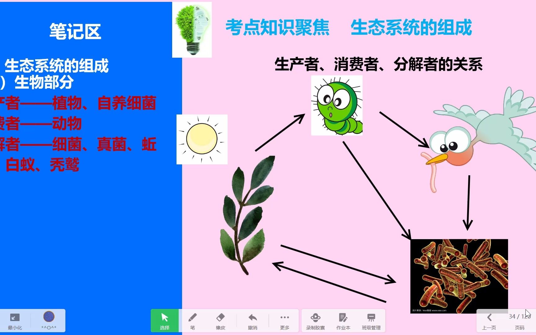 生态系统和生物圈哔哩哔哩bilibili