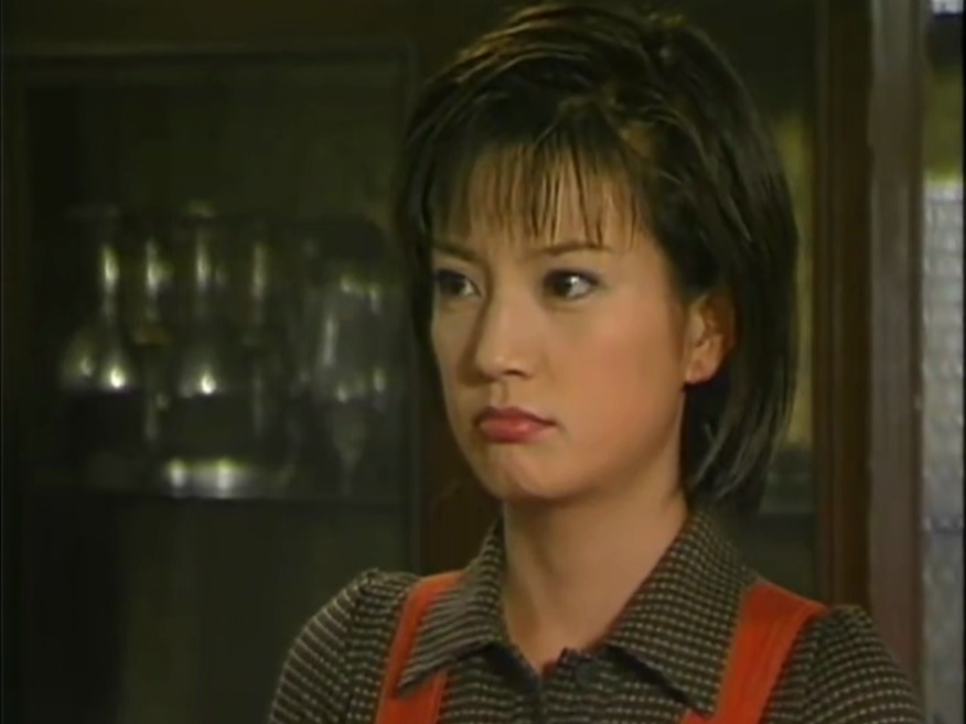 【赵薇*苏有朋】老房有喜24-4