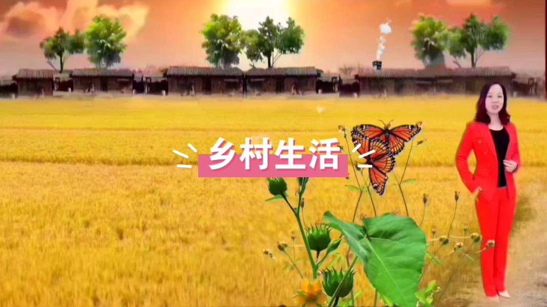 【乡村美景】麦田里的蝴蝶飞舞