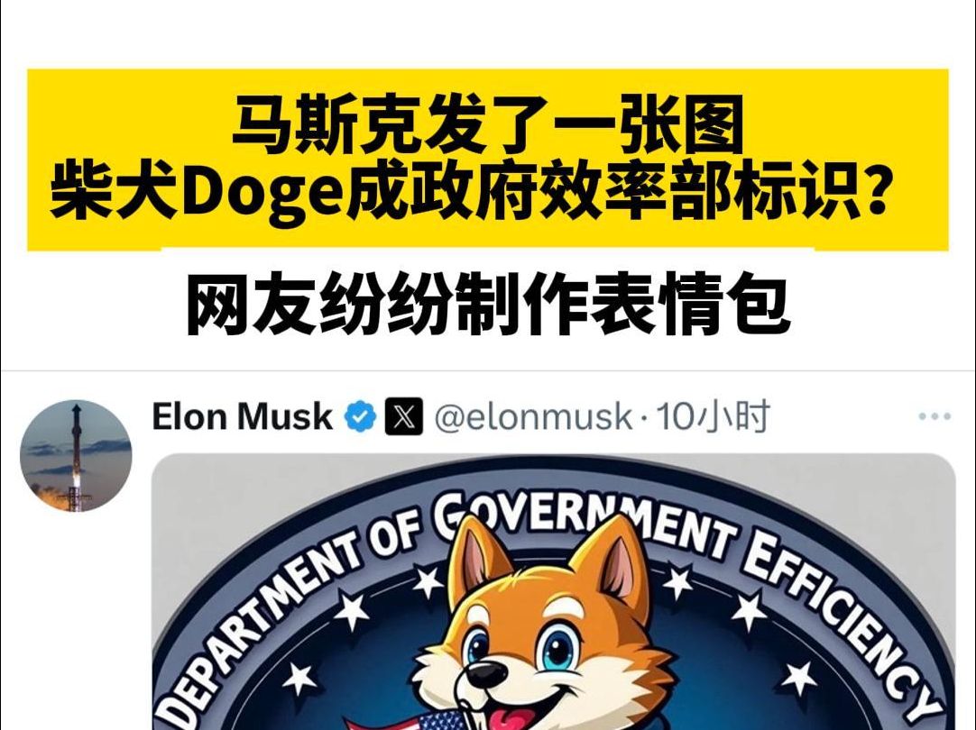 马斯克发了一张图,柴犬Doge成“政府效率部”标识?网友纷纷制作表情包哔哩哔哩bilibili