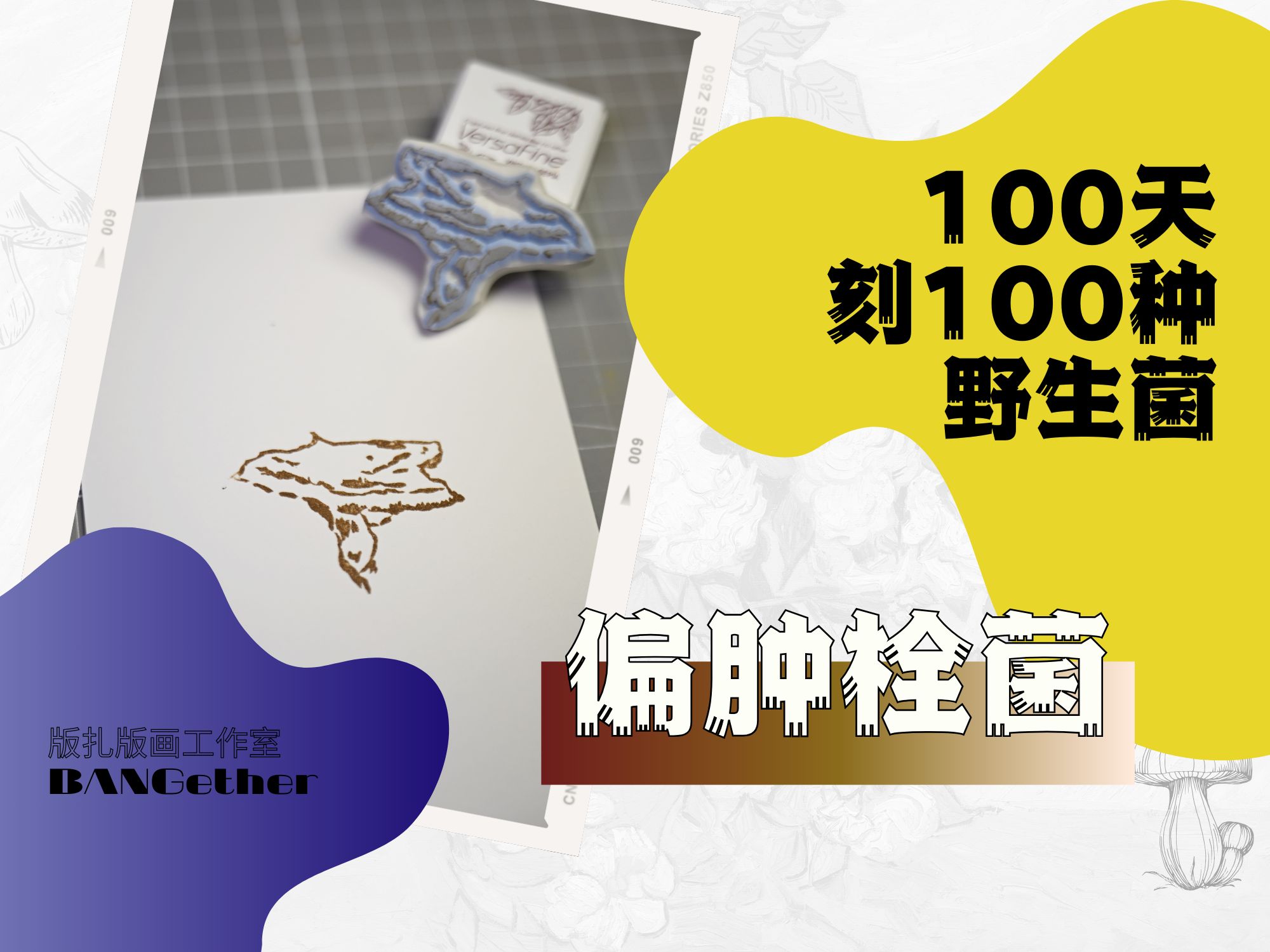 【100天刻100种菌子】之 偏肿栓菌哔哩哔哩bilibili