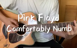 木吉他弹唱平克·弗洛伊德神曲《Comfortably Numb》