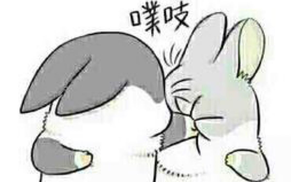 求职中哪些技能会给你加分?哔哩哔哩bilibili