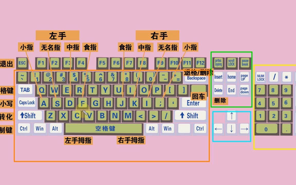 零基礎快速學拼音學五筆打字教程,鍵盤打字快速入門