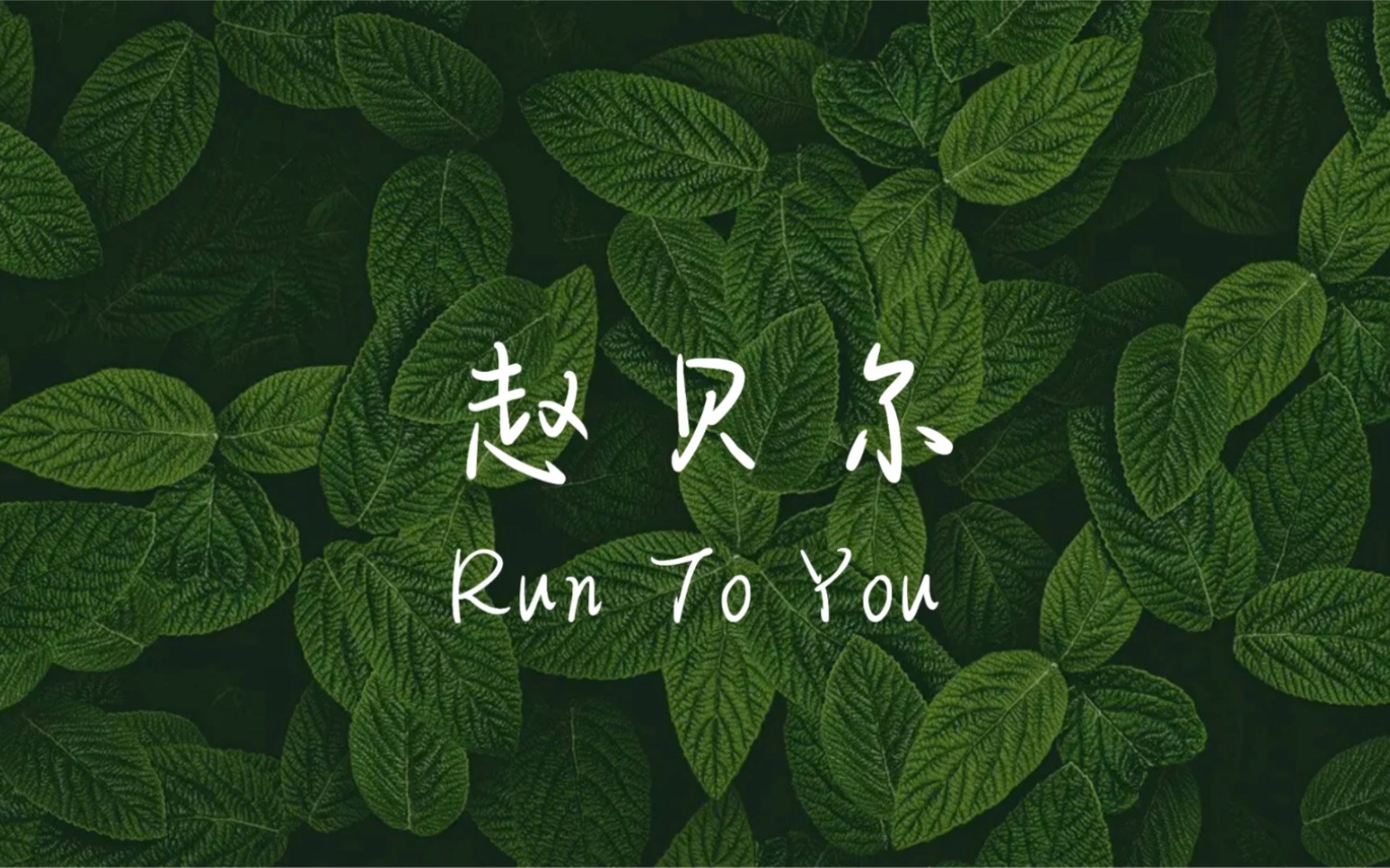 [图]【歌词排版分享】Run To You-赵贝尔