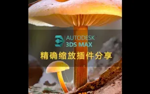 Download Video: 3Dmax精确缩放插件分享